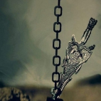 FB_IMG_1727447335174