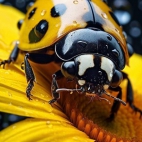 FB_IMG_1727447308870