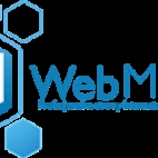 cropped-webmajster_logo-1