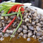 High-quality Wallpaper Pack 49 (169)