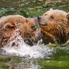 High-quality Wallpaper Pack 49 (166)