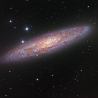 ngc253