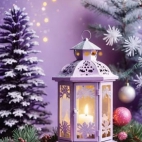 470522725_4009659749266418_5121804551112306984_n