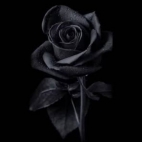 470172831_122176132322109556_1276126163271975481_n