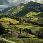 470175275_122132435540494746_6512955575537952536_n