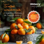 467895312_120220087743120059_1868567560820794935_n