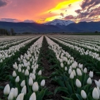 470209496_122132530070494746_1588333660850822061_n