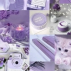 470238468_570344512446194_1505553297275241831_n