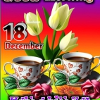 470202403_122149110812303642_3096523067087238006_n