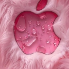 470178215_560432280314817_4823392881896616513_n