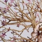 274999447_996950977868907_8506488506224154733_n