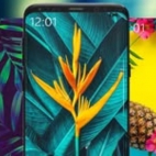 65386863_483464425527736_5226197011287506944_n