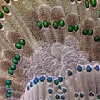 391715689_6781381351900482_4785033733057017040_n