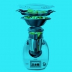 424596583_361421256813839_3911054594372852079_n