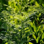 356044153_219602917662341_9109885160044210137_n