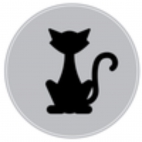 327175126_598347965064733_340489950238859214_n