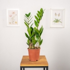 461722689_1063246048755506_8194129571997926487_n