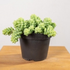 463066675_1105177584653302_4693173079032028501_n