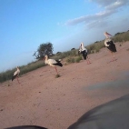 470473413_573673485384567_5972888503953110334_n