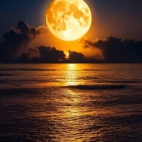 471153368_122128162124546954_1767949022224448711_n