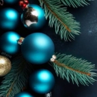 470875397_1814228909345634_5876572511638791912_n