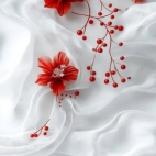 471248785_1111625060415921_6991536539576995561_n