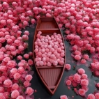 471277664_1111625153749245_2284351577970253309_n