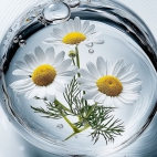 471224953_1111625503749210_766312958525251703_n