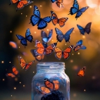 471154823_1111626673749093_8048794518582256913_n