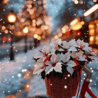 471168379_1111626867082407_4865045673274798655_n