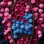 471280116_1111627513749009_7578073770005129984_n