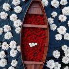 471189120_1111627760415651_2240441522572461053_n