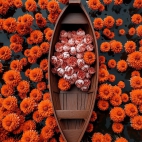 471162733_1111627850415642_8337270564738202564_n