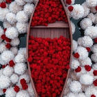 471421241_1111628193748941_667458999706030723_n