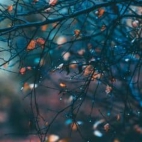 471294922_1111624300415997_6812892019047791819_n