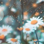 471412222_1111628287082265_8107848314163033694_n