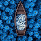 471297178_1111628383748922_7165622699628741037_n