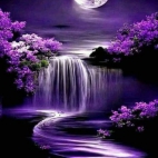 470221484_454416757705616_7415286785996663396_n