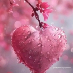 470633523_8901563619922507_1999126219105250699_n