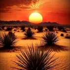 458218913_2037408143324207_9115820473205951797_n