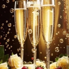 470597052_4014402698792123_2318367593203106983_n