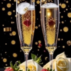 470207395_4014402752125451_5053444107075481770_n