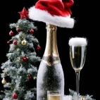 471262056_122126714960546808_8867967804578810297_n