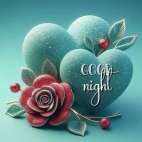 470207315_2285115841887350_8615626123102118741_n