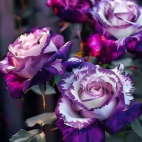 462682622_426858817117830_8476921994843179271_n