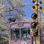 ec9fdccd7f9f30fcc646c285407f5782