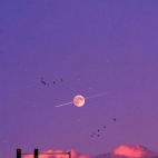 37b092f59895ec38d50dfca91e053938