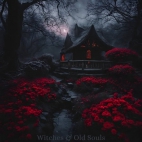 472281265_587053057520975_2320632235396291248_n