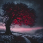 472284024_587053130854301_3257124729050095905_n