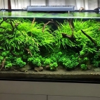 472317622_122194759448185426_530420052908510302_n